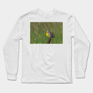 An Eastern Song - Eastern Meadowlark Long Sleeve T-Shirt